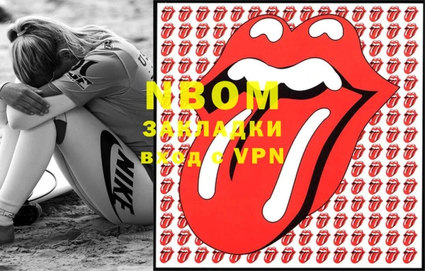 стаф Гатчина